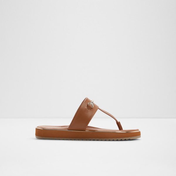 lobredanten brown main